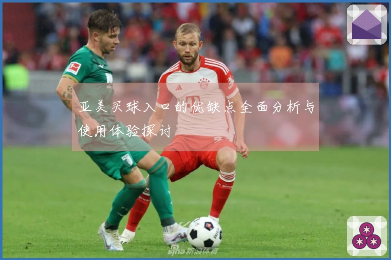 亚美买球入口的优缺点全面分析与使用体验探讨