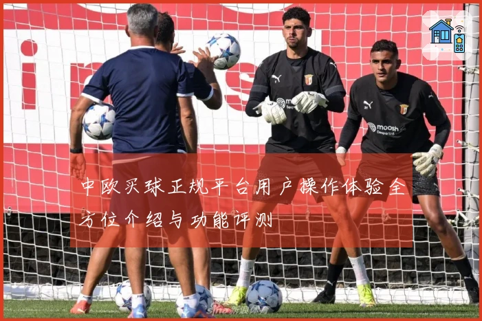中欧买球正规平台用户操作体验全方位介绍与功能评测