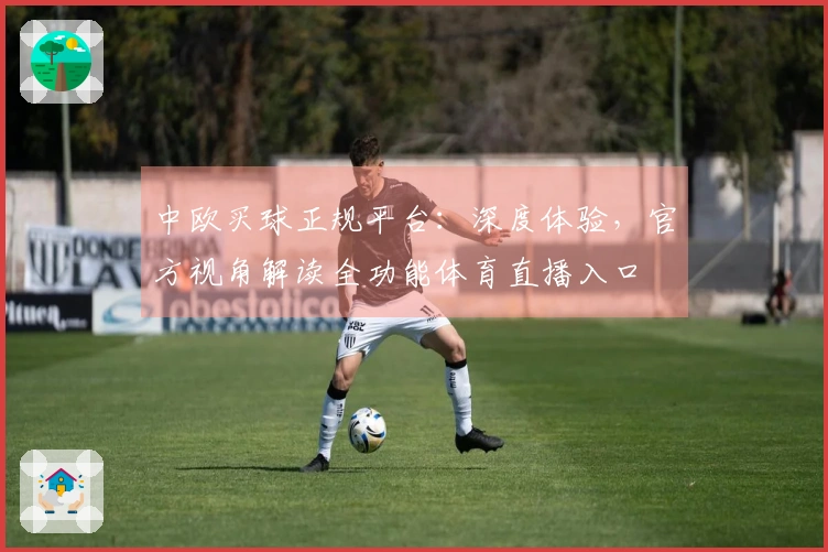 中欧买球正规平台：深度体验，官方视角解读全功能体育直播入口