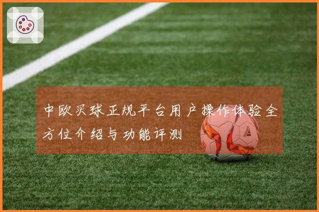 中欧买球正规平台用户操作体验全方位介绍与功能评测