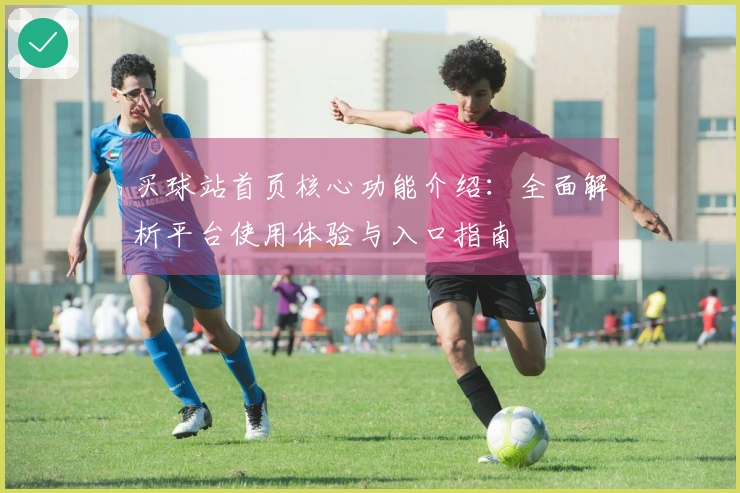 买球站首页核心功能介绍：全面解析平台使用体验与入口指南