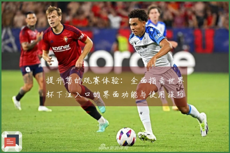 提升您的观赛体验：全面指南世界杯下注入口的界面功能与使用技巧