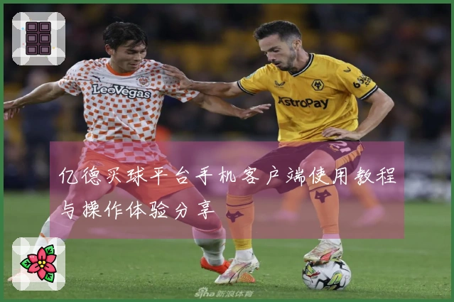 亿德买球平台手机客户端使用教程与操作体验分享