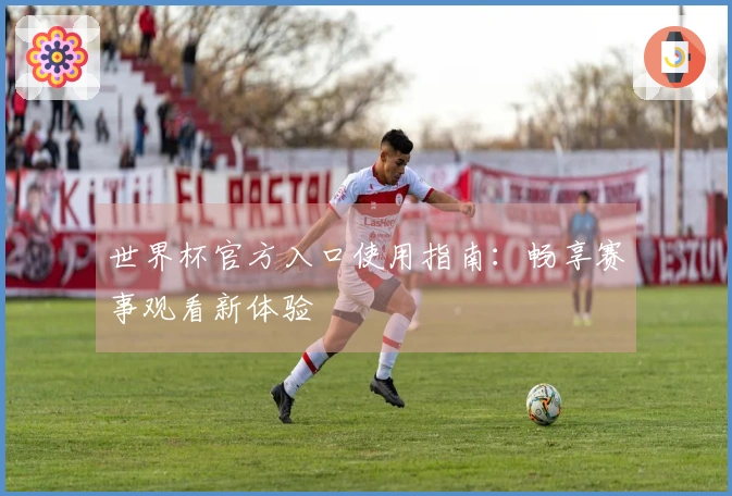 世界杯官方入口使用指南：畅享赛事观看新体验