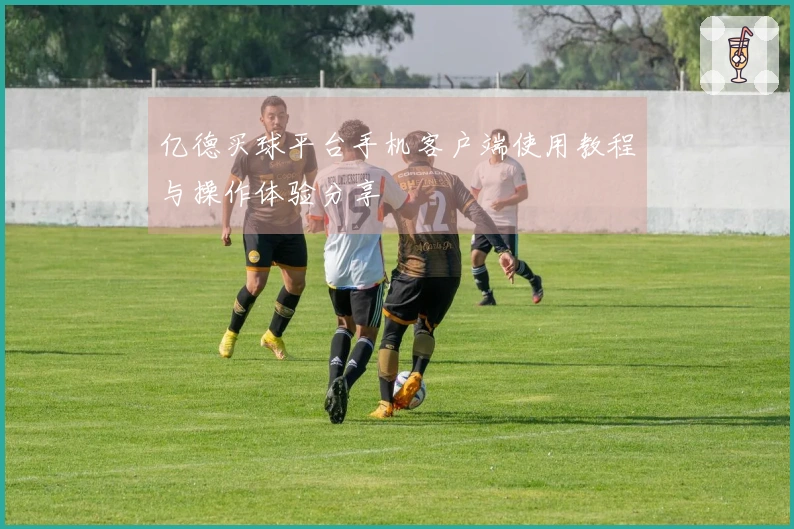 亿德买球平台手机客户端使用教程与操作体验分享
