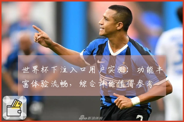 世界杯下注入口用户实测：功能丰富体验流畅，综合评价值得参考