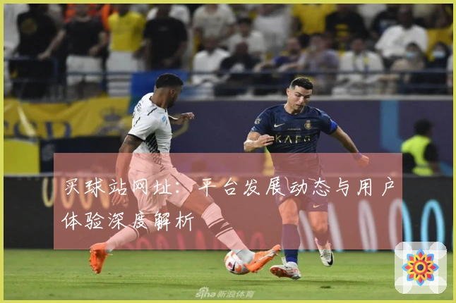 买球站网址：平台发展动态与用户体验深度解析