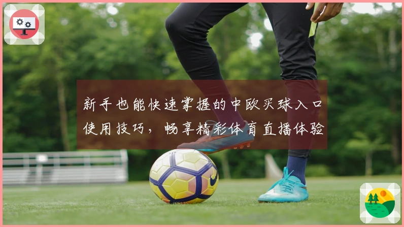 新手也能快速掌握的中欧买球入口使用技巧，畅享精彩体育直播体验