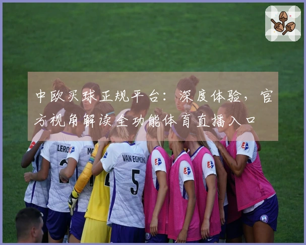 中欧买球正规平台：深度体验，官方视角解读全功能体育直播入口