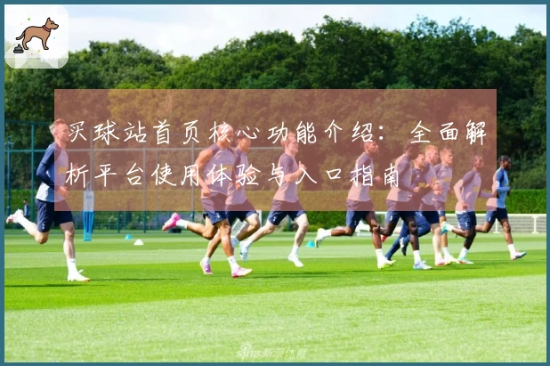 买球站首页核心功能介绍：全面解析平台使用体验与入口指南
