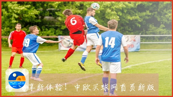 畅享新体验！中欧买球网首页新版功能深度介绍与使用指南